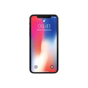 iPhone X